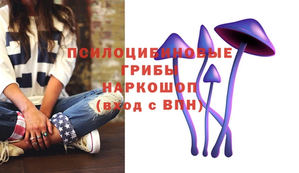 кокаин Алексеевка