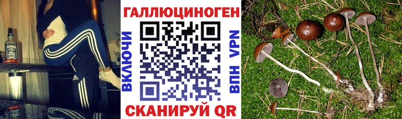 Псилоцибиновые грибы мицелий  где можно купить наркотик  Беслан 