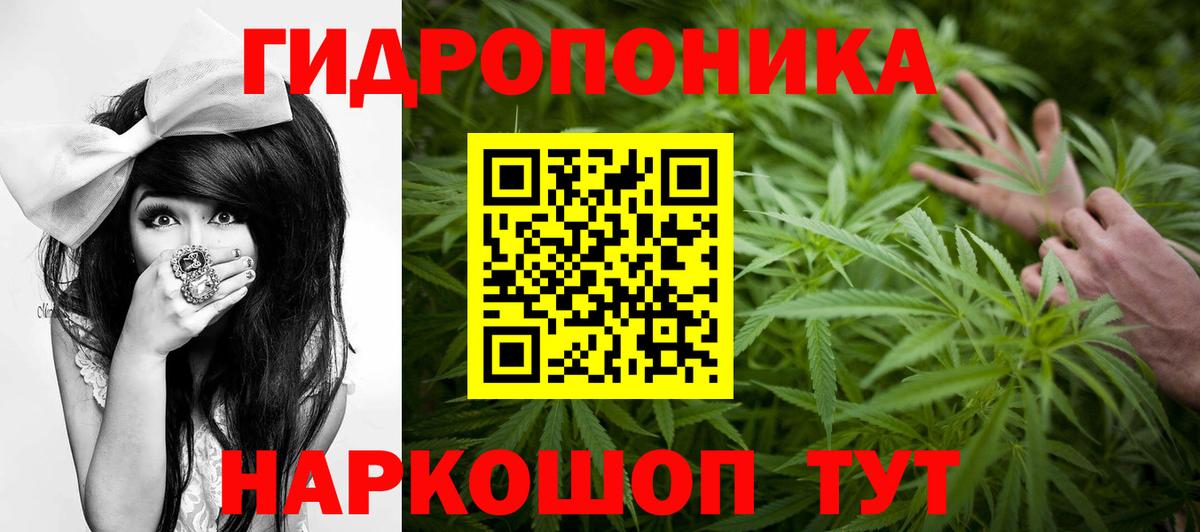 МАРИХУАНА планчик Беслан